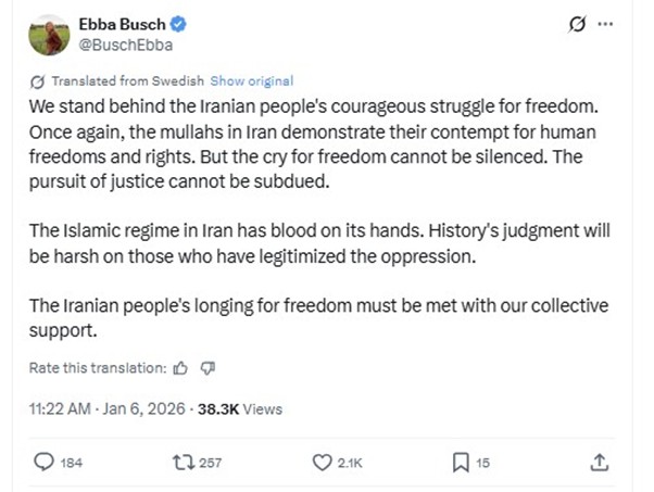 معاون نخست وزیر سوئد